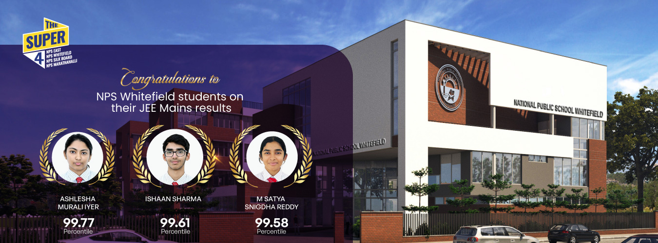 Schools in whitefield